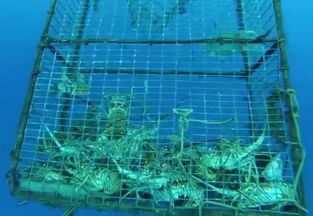 Djuphavsnät för vattenbruk