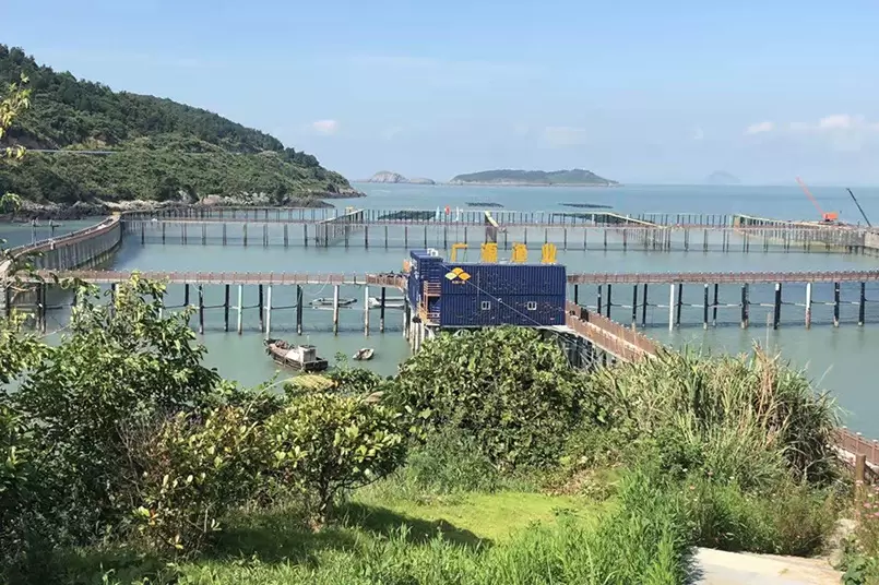 Omkretsprojekt för produktion och installation av nät för kläder av typen "ultra-large distans" på 498 m