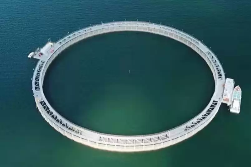 Hajnätsprojekt på Bao Neng Orange Fishing Sand Hotel